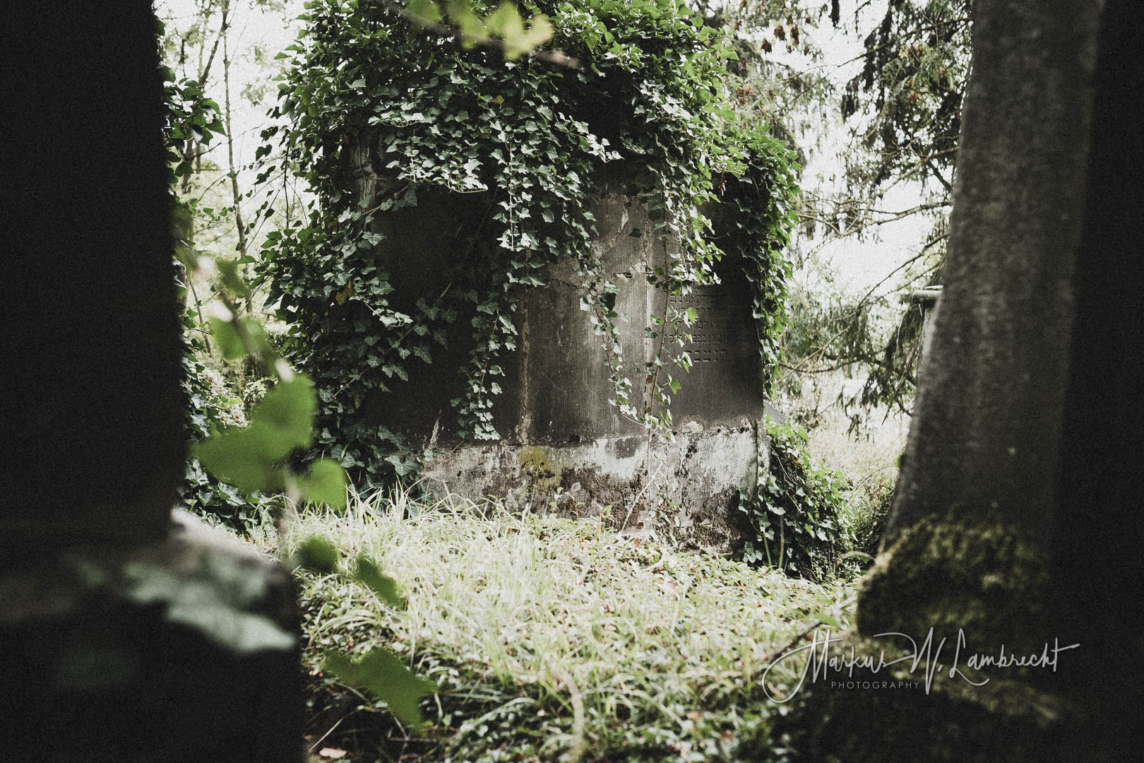 Rimbeck, Jüdischer Friedhof